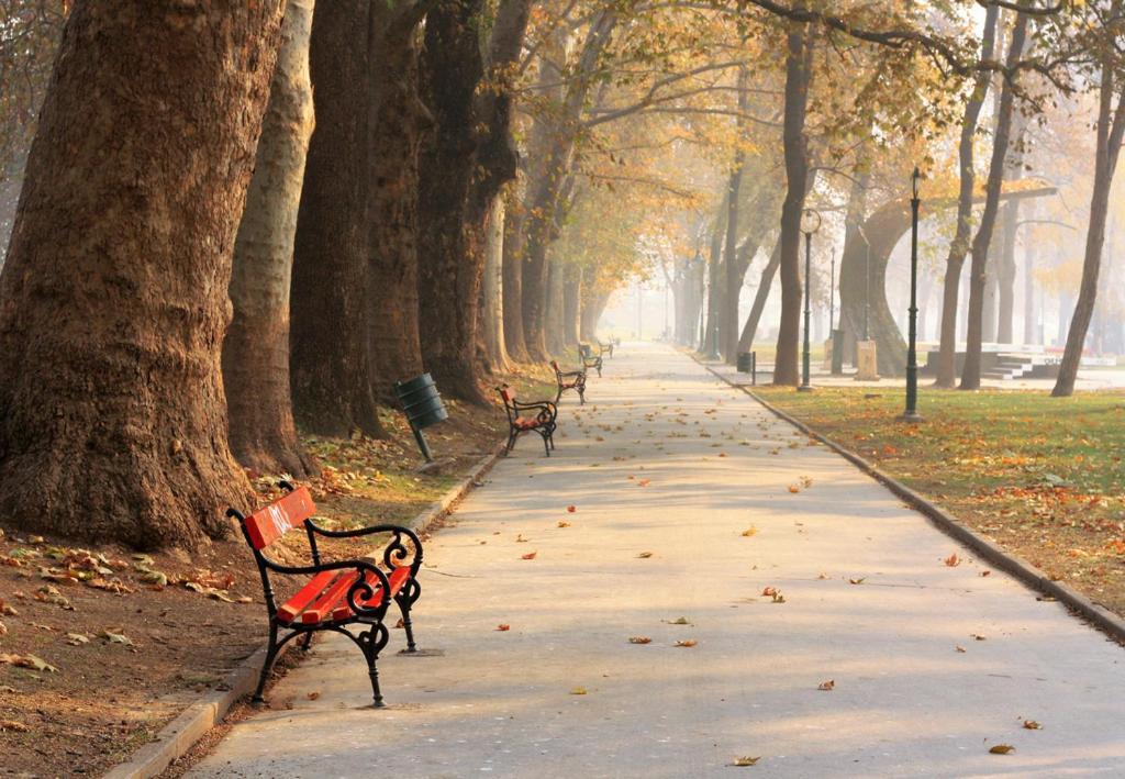 Bohemian Quarter / City Park, Free Parking Lejlighed Skopje Eksteriør billede